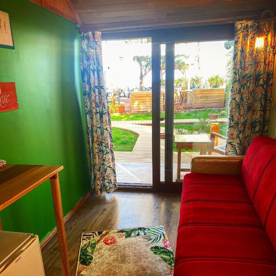Bed & Breakfast Kara Kedi *