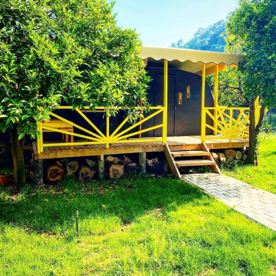 Kara Kedi Bed & Breakfast *