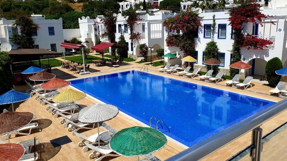 Paradise 3*