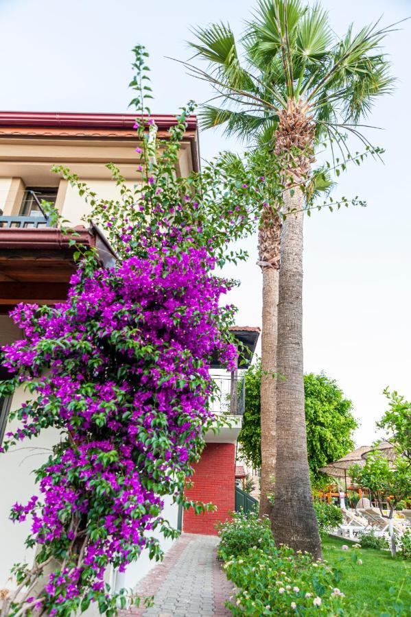 Hotel Portakal 3*