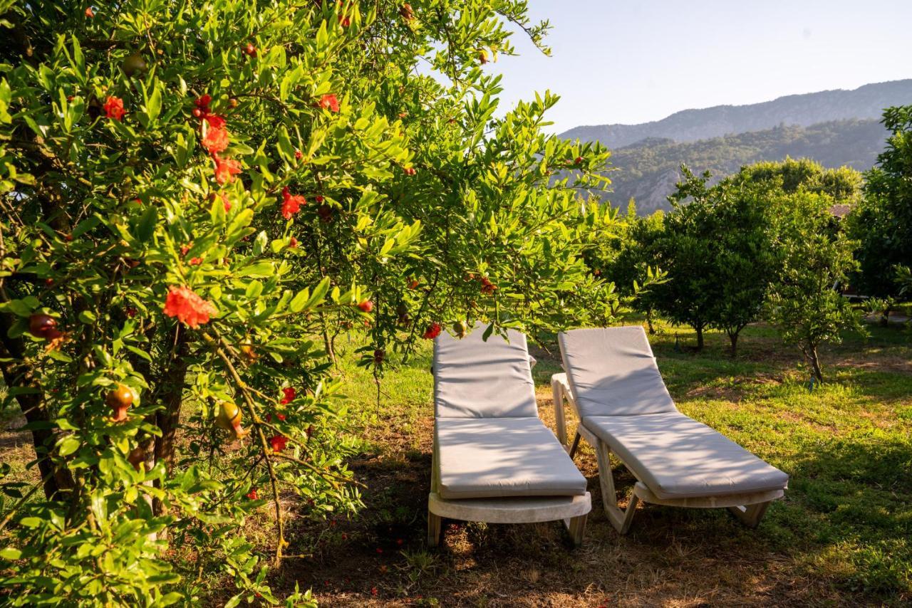 Ikiz Villa Cirali