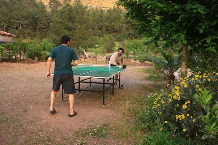 Guest house Koyevi *