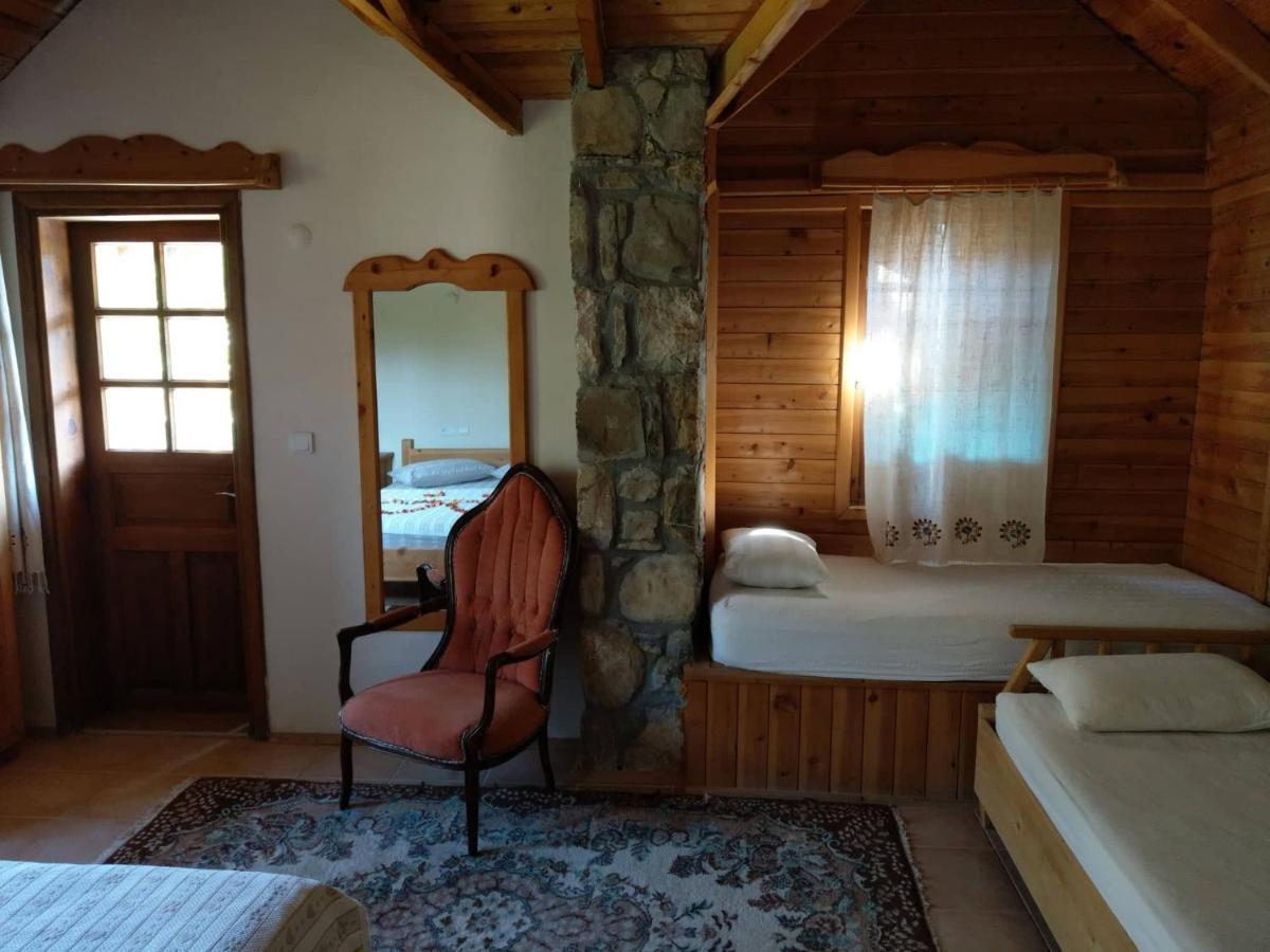 Koyevi * Olympos