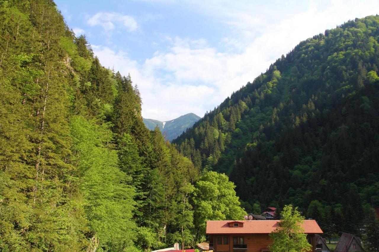 Hotel Kilpa 4*
