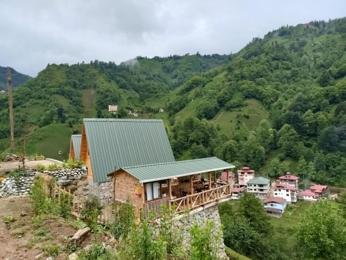 Purkinora Bungalov