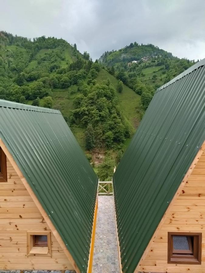 Chalet Purkinora Bungalov Camlihemsin