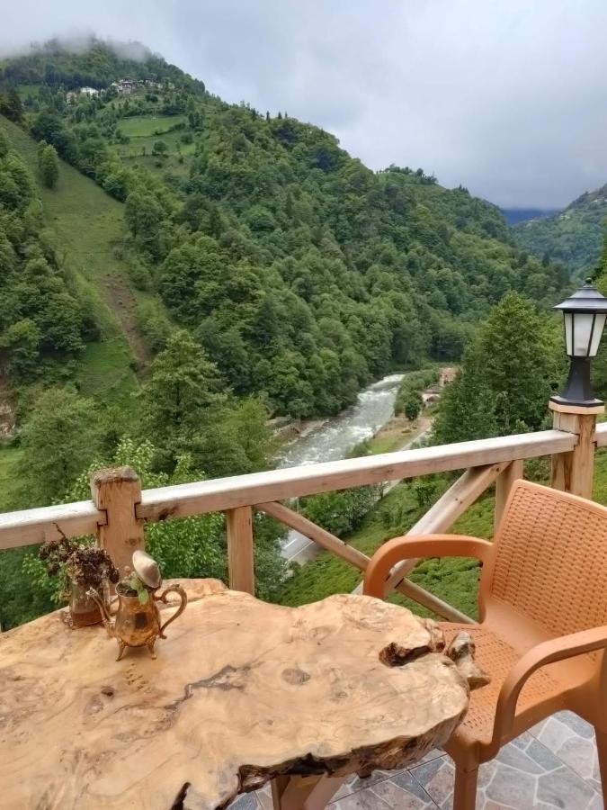 Purkinora Bungalov
