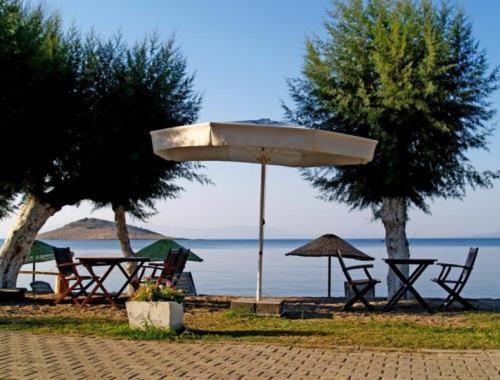 Yilmaz Hotel Ortakent