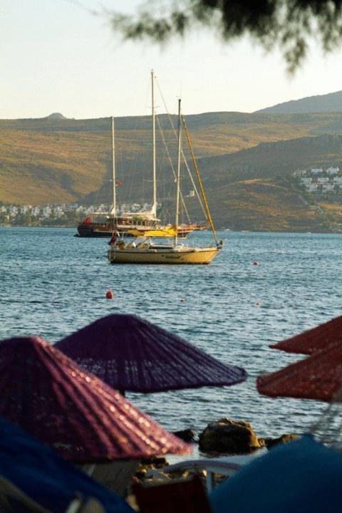Hotel Yilmaz Ortakent