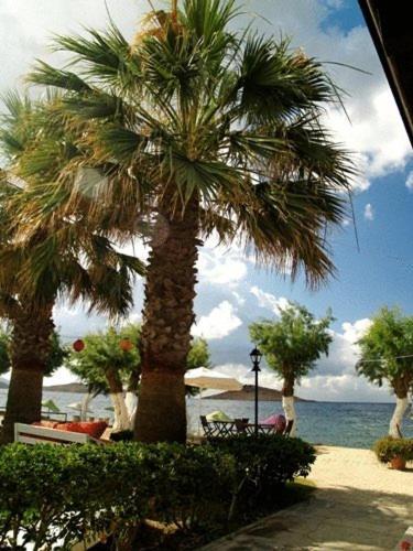 Hotel Yilmaz