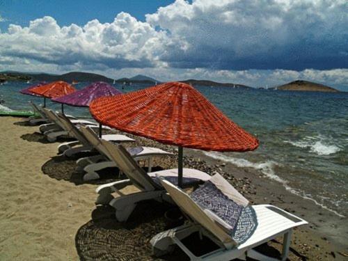 Yilmaz Ortakent