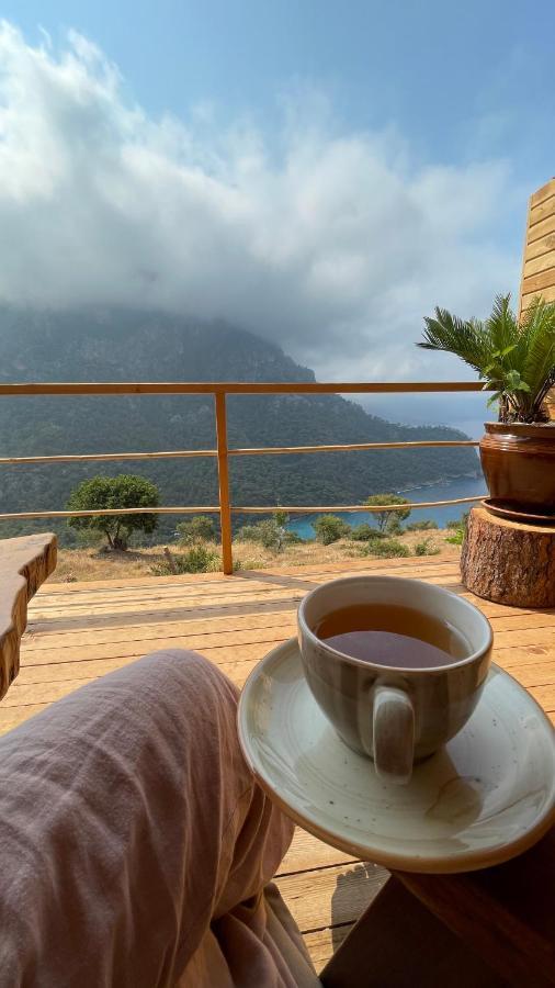 Olive Garden Kabak