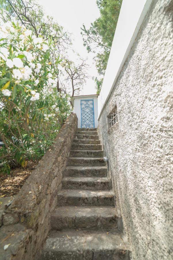 Panorama Bodrum