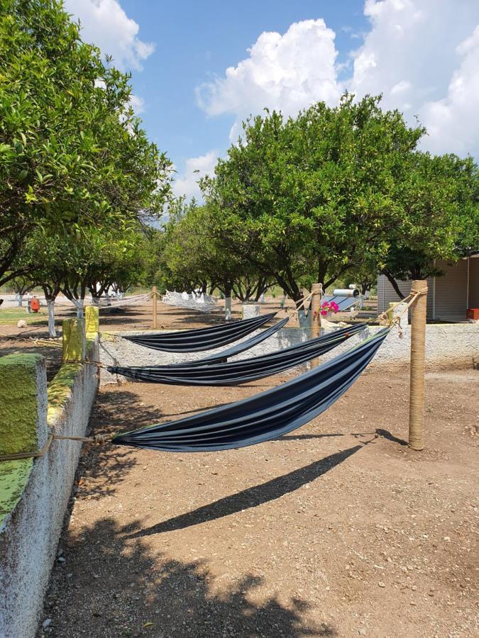 Orange Camp
