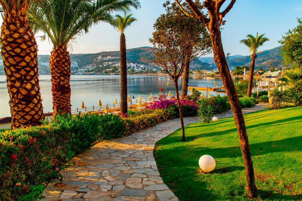 Baia Bodrum