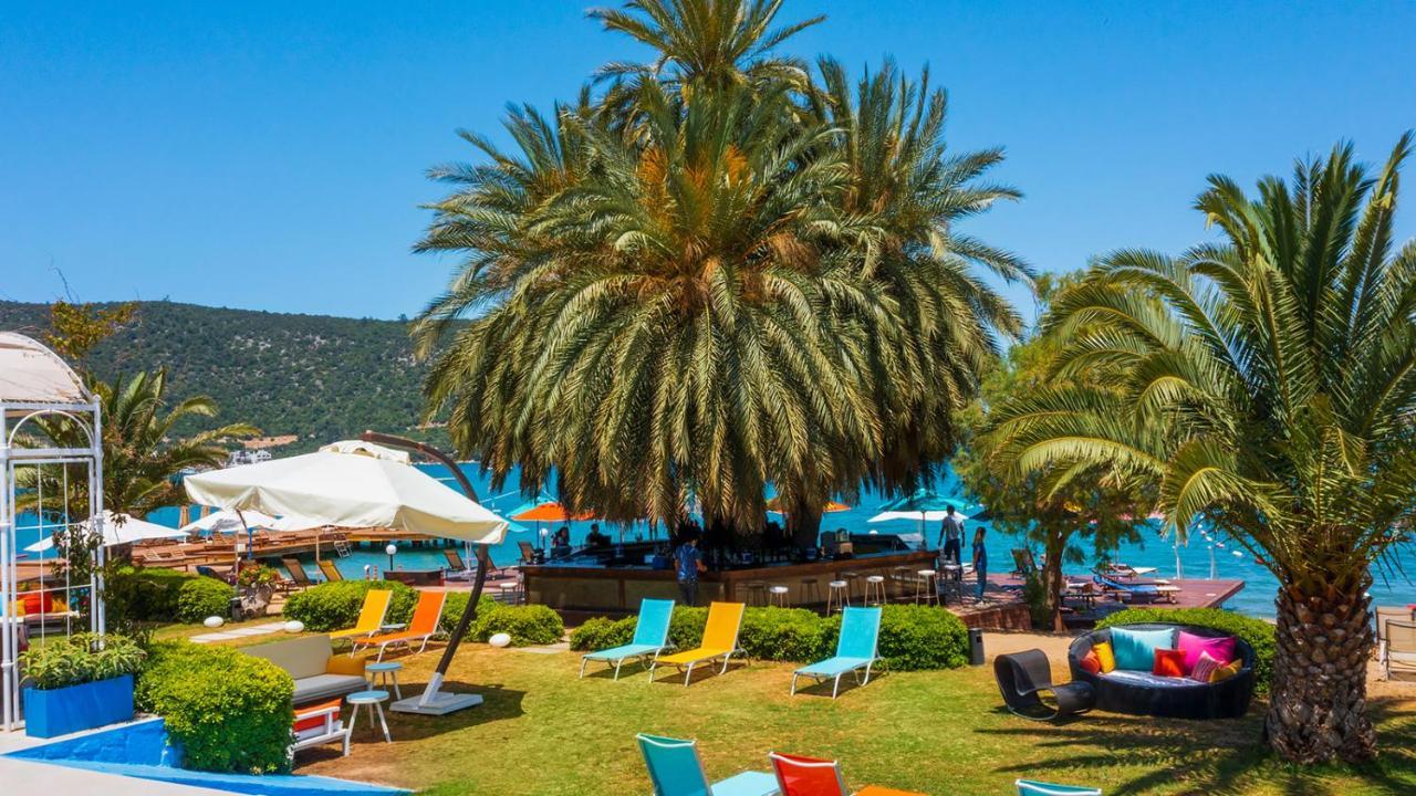 Toka & Club Hotel 3*