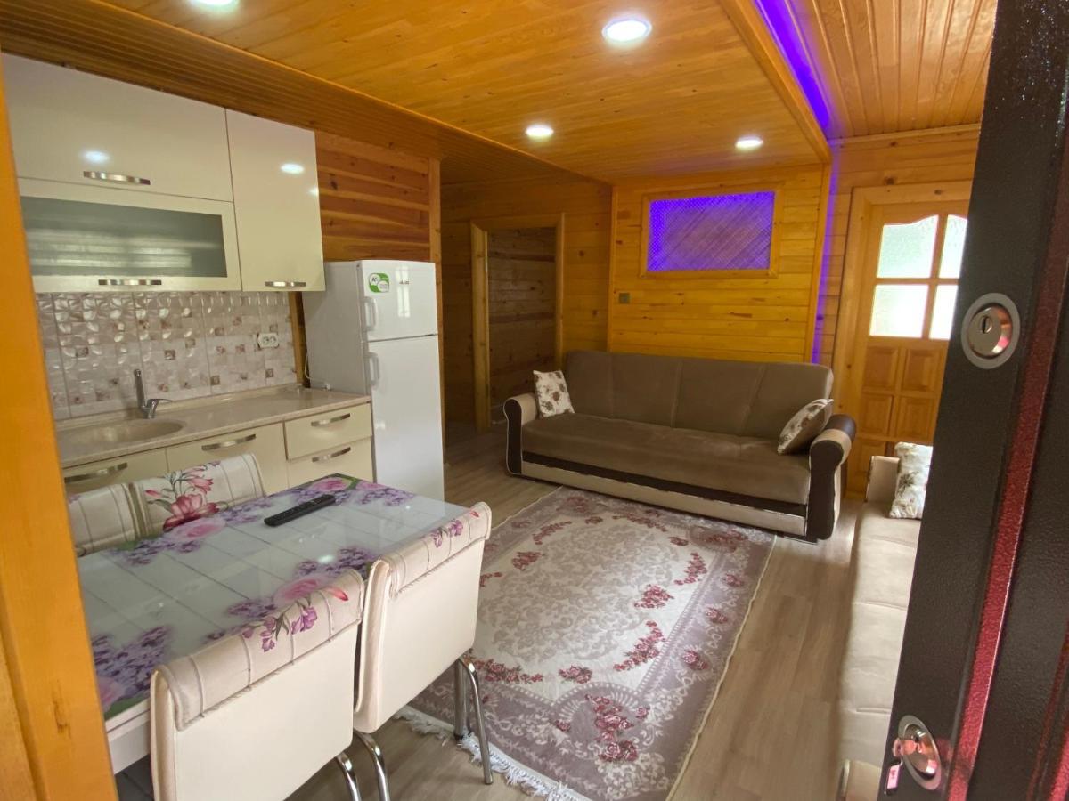 New Toprak Apartment *