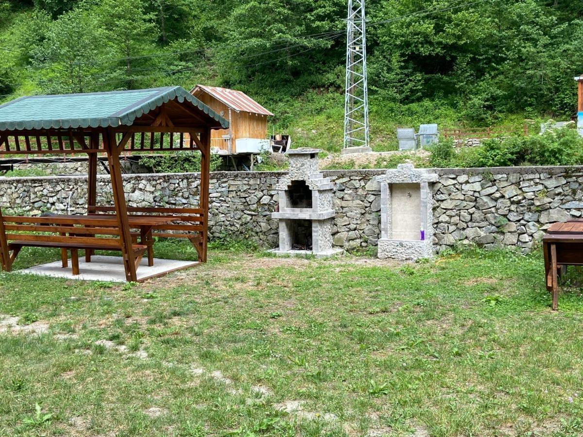 New Toprak Apartment *