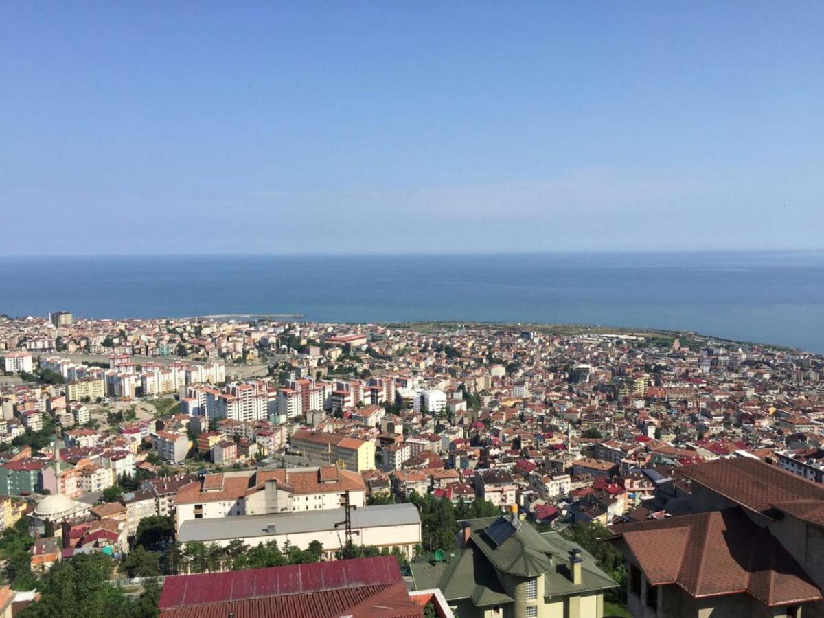 Panorama *