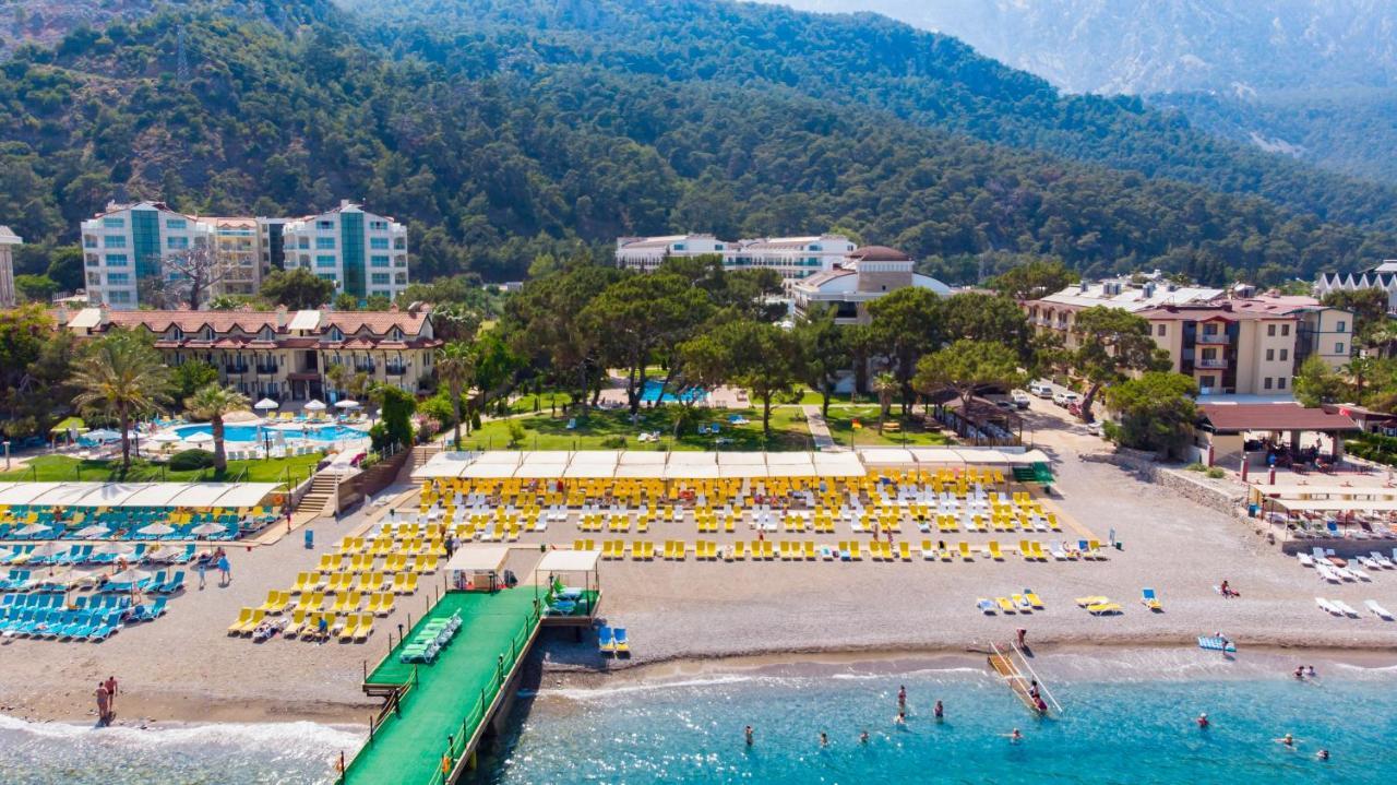 Dosinia Luxury