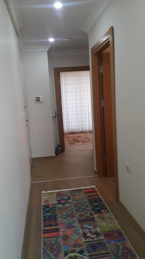 Nil * Pelitli (Trabzon)