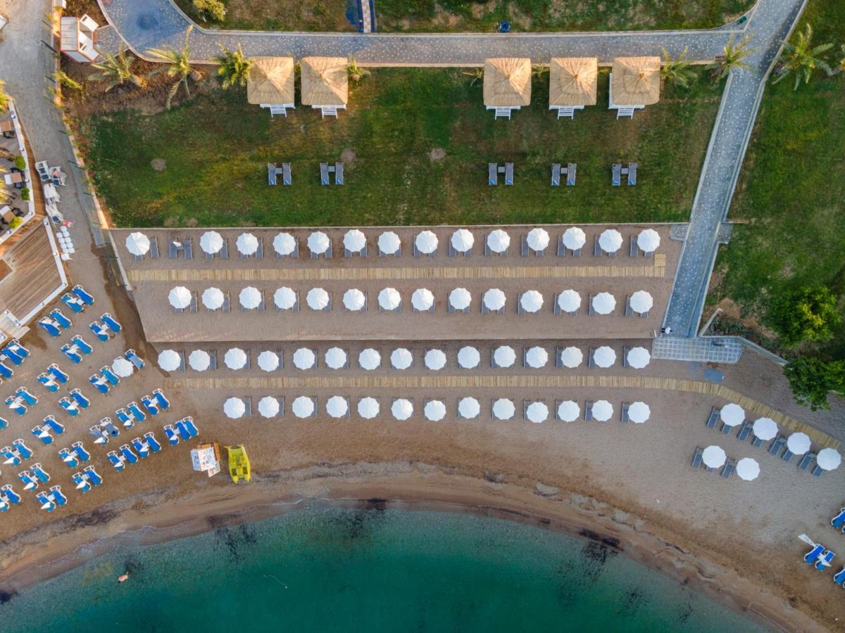 Lonicera Premium (adults Only) 5* Avsallar