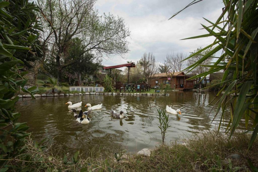 Otantik Tas Ev Bed & Breakfast Dalaman