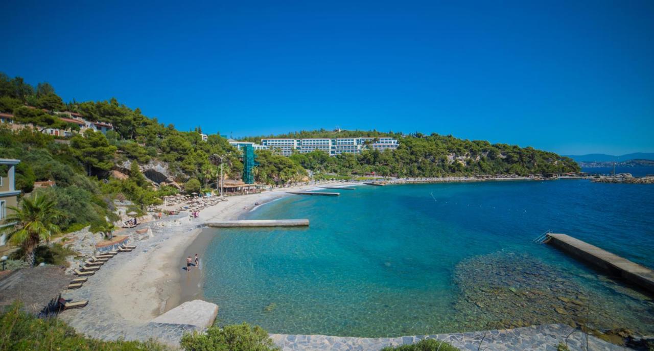 Pine Bay Holiday