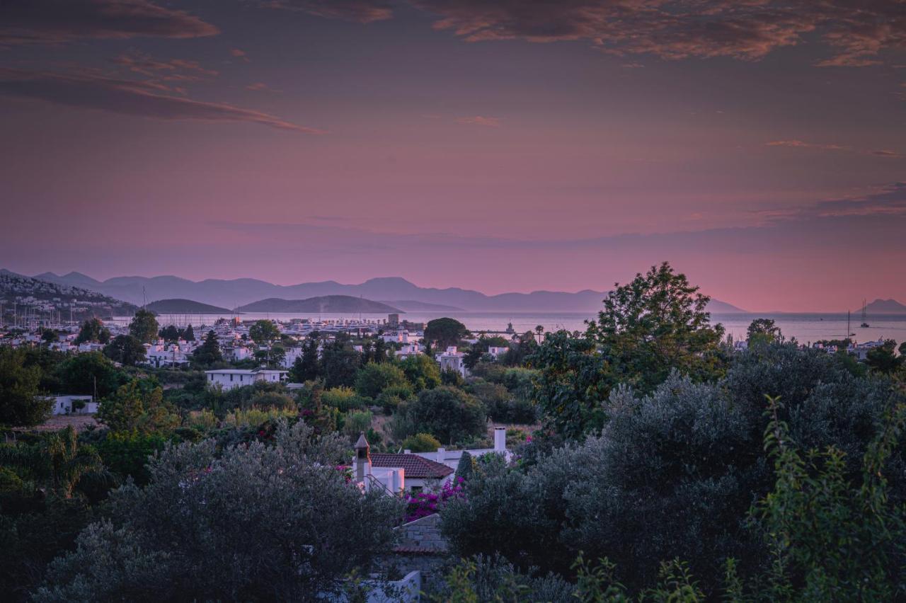 Hotel 4reasons + Bistro | 12+ 4*