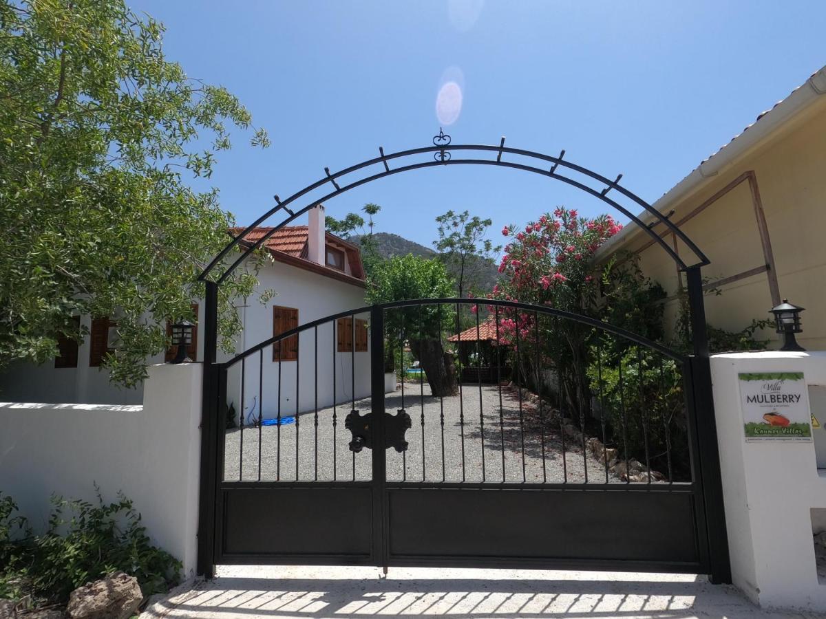 Mulberry House Dalyan