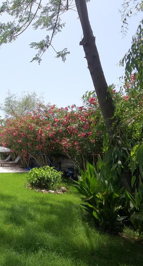 Mulberry House Dalyan