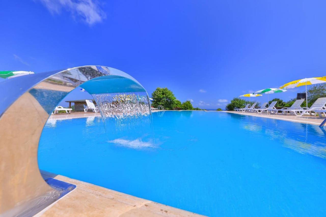 Teras Garden & Bungalow