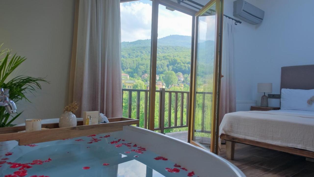 Hotel Cevizdibi 4*