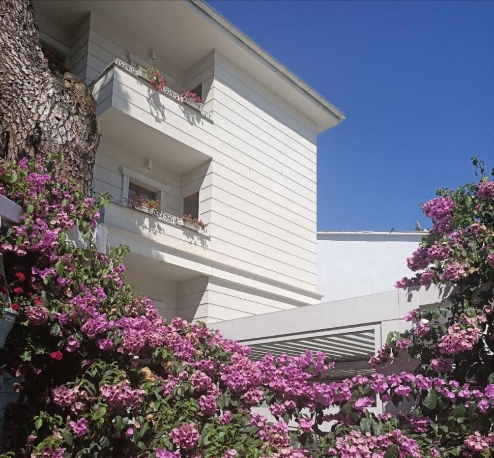 Hotel Ascot Bueyuekada Adalar