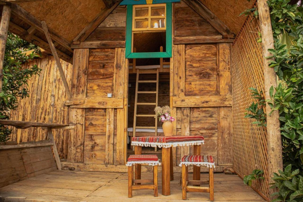 Heredot's House Lodge