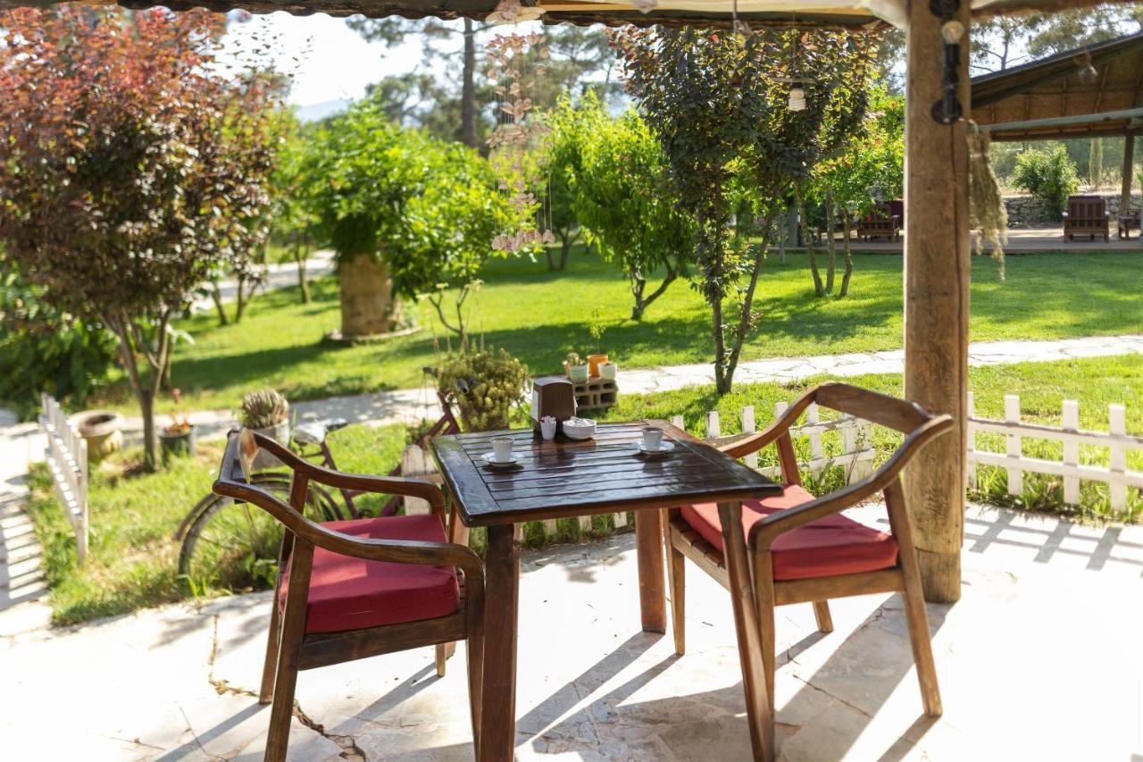 Koala Guest house
