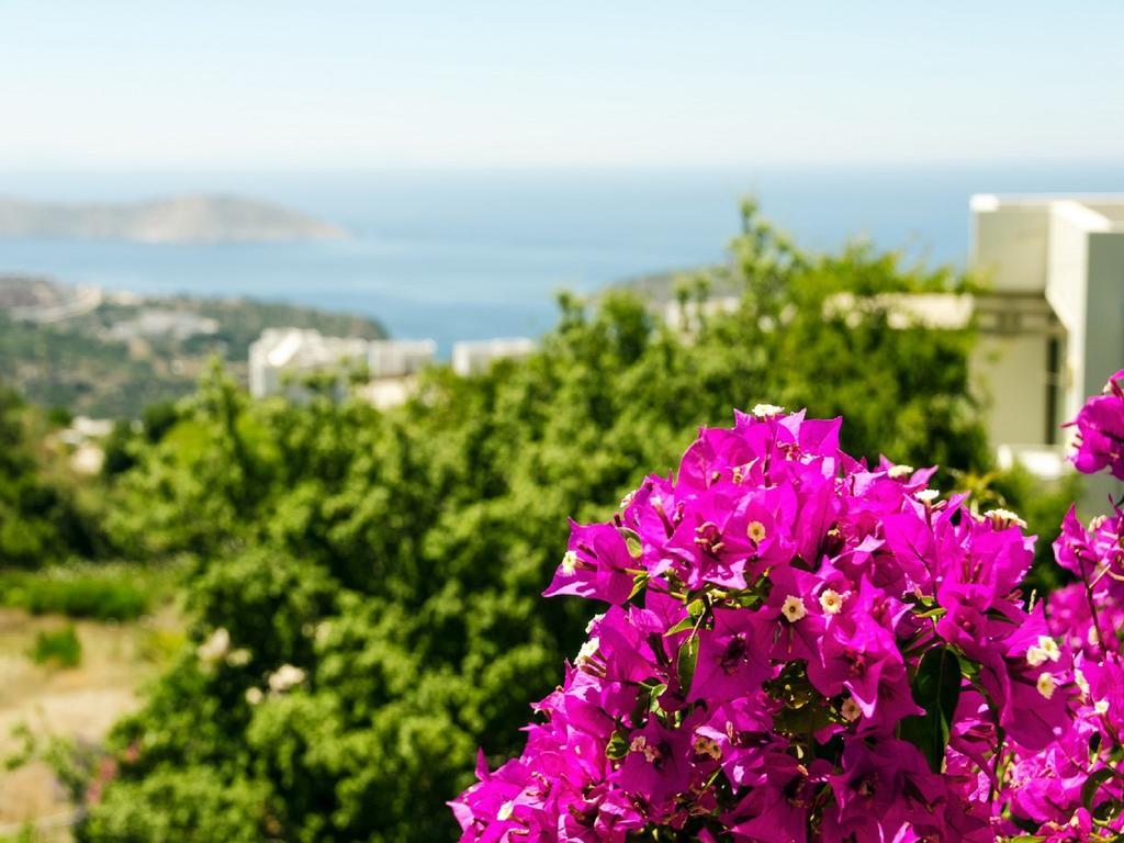 Aegean Hills Gumusluk