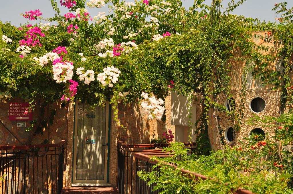 Aparthotel Siesta