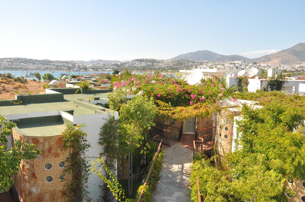 Siesta Aparthotel