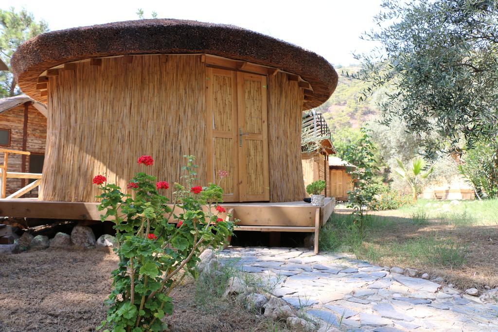 Chakra Kabak Faralya