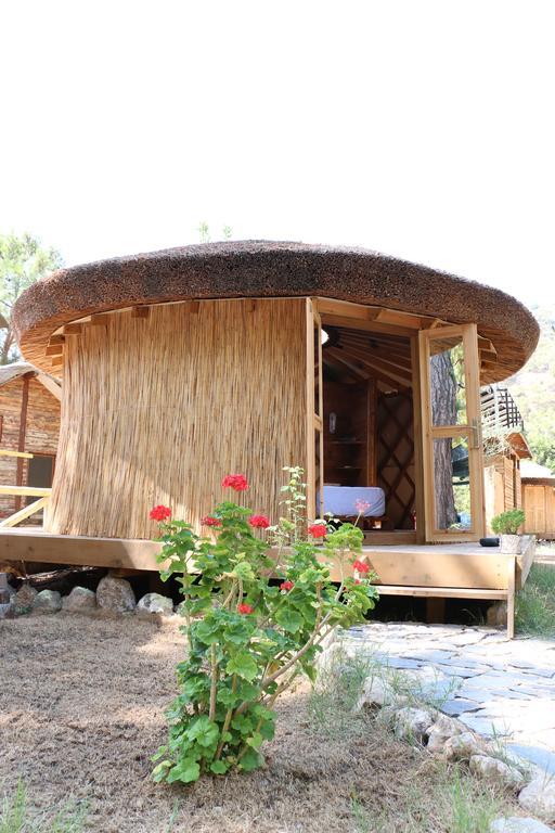 Chakra Kabak Inn