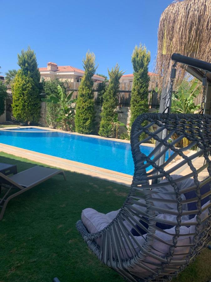 Hotel Viola (adults Only)