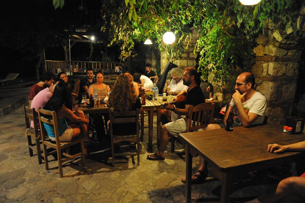 Guest house Koyevi Olympos