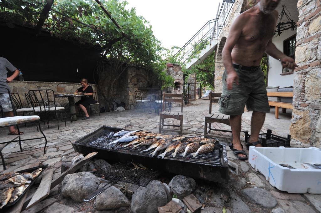 Koyevi