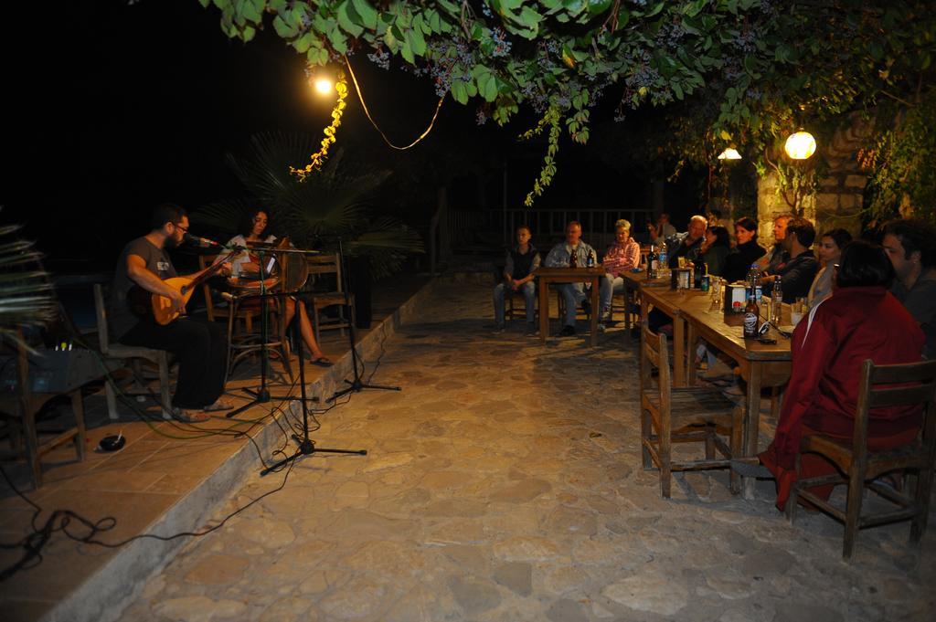 Koyevi *