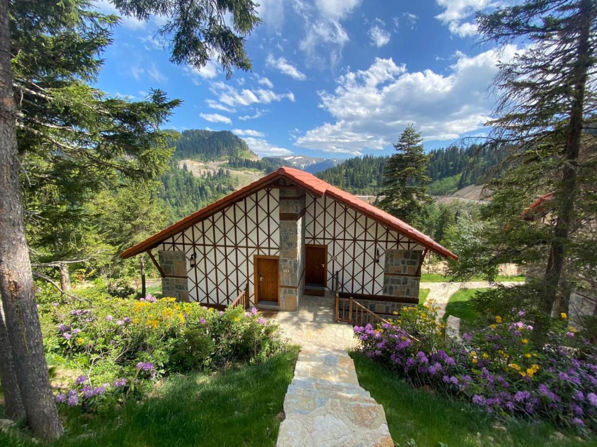Foleya Mountain & Hotel Trabzon