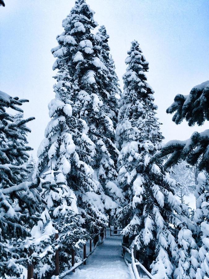 Elifim Hotel Bolu