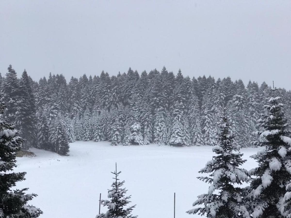 Elifim Hotel Bolu
