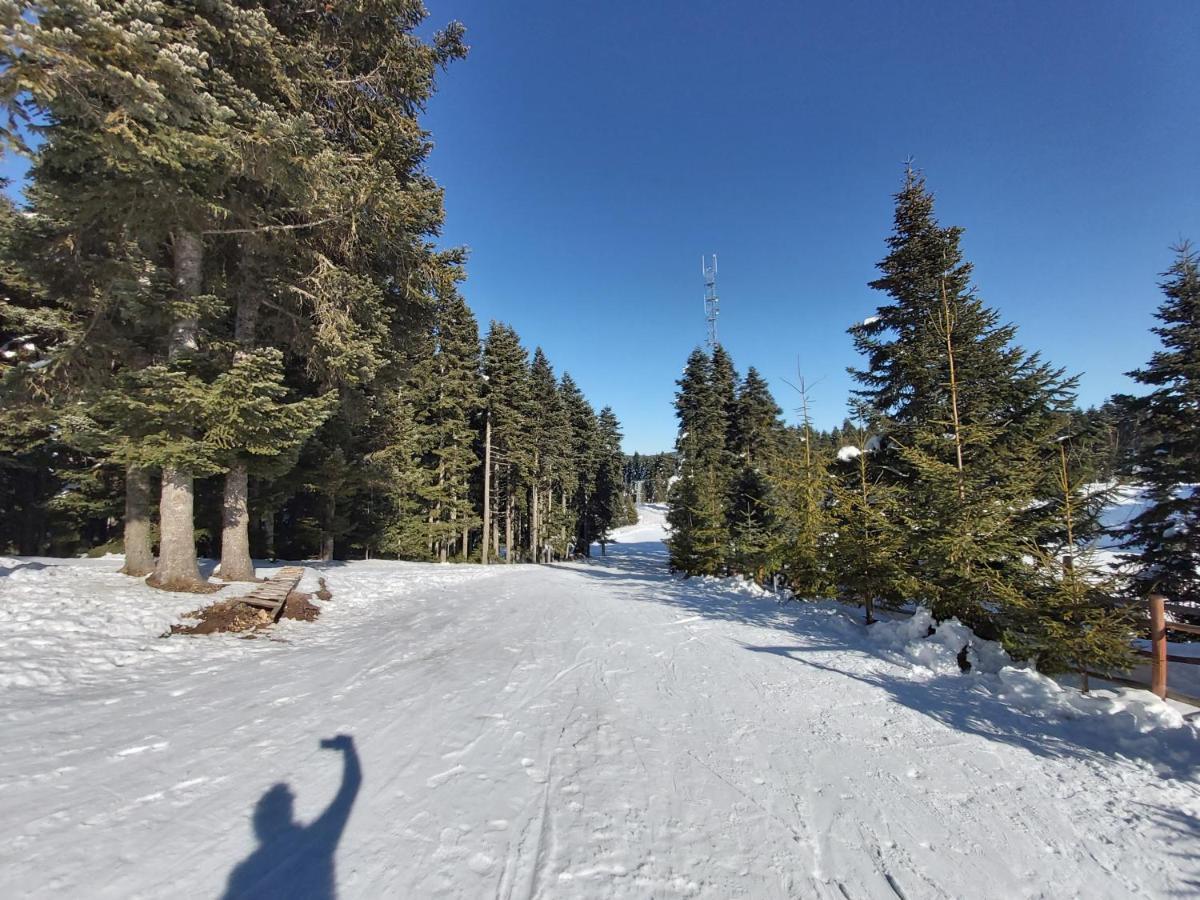 Elifim 4* Bolu
