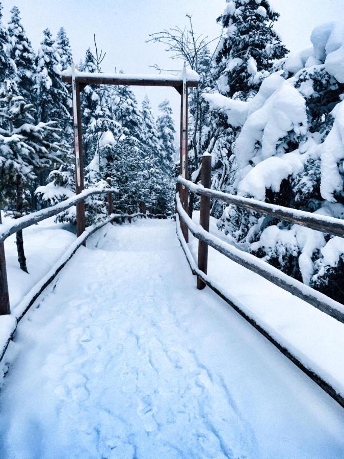 Elifim 4* Bolu